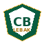 Identitas visual portal Desa Cibadak, identitas pemerintah daerah induk